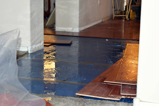 Professional Water Damage Restoration technician working in Mico, TX